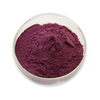 Blueberry Extract Anthocyanin